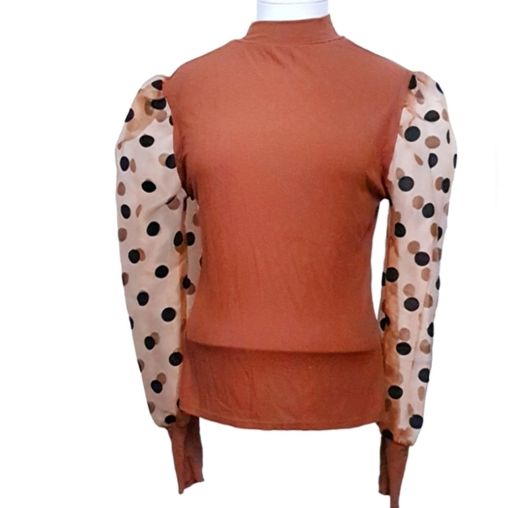 Bronze Mesh Polka Dot Patchwork Puff Bishop Sleeve Fitted Top - Picture 1 of 6
